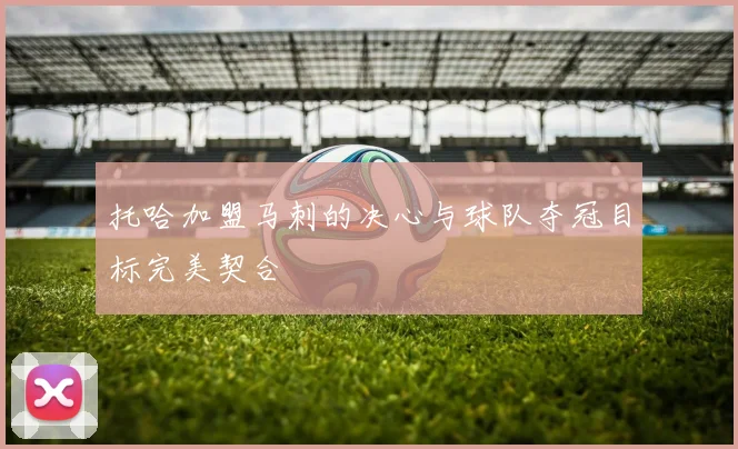 托哈加盟马刺的决心与球队夺冠目标完美契合