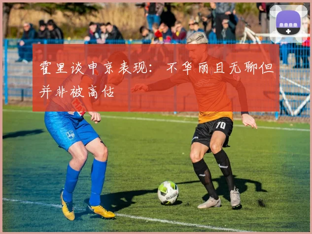 霍里谈申京表现：不华丽且无聊但并非被高估